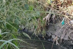 Jasad Bayi Ditemukan di Saluran Air Dekat SDN Krawasan