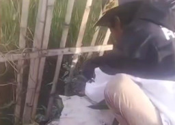 Penemuan Bayi di Tempat Sampah Viral, Polisi Lakukan Penelusuran