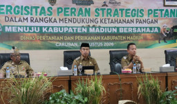 Hari Wuryanto Kejar Produksi Padi 10 Ton per Hektare, Siapkan Benih Unggul hingga Irigasi ‎