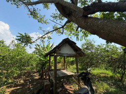 Berkedok Pengobatan Alternatif, Dukun Gadungan di Gresik Setubuhi Pasien Depresi di Gubuk Kebun Jeruk