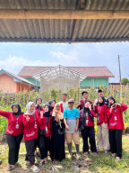 Semangat Gotong Royong Warnai Penanaman Bibit Cabai dan Pepaya di Kebun KWT Desa Andonosari