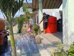 Kekeringan Jember Makin Meluas