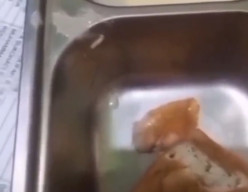 Keracunan Massal MBG Sidoarjo! Korban Tembus 293 Santri, Beredar Video Ada Ulat di Sajian MBG