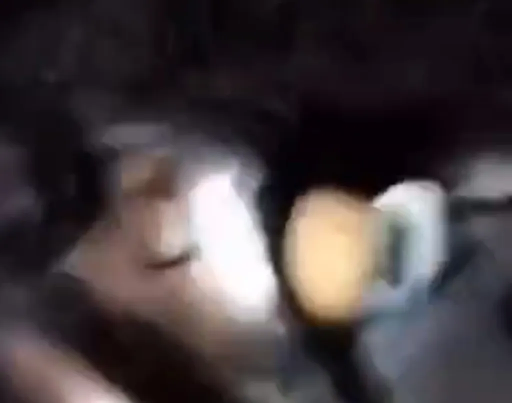 Niat Tangkap Ular, Warga Rohil Malah Dililit hingga Koma