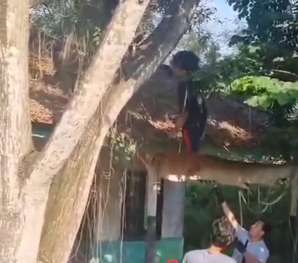 Pria Ini Ditemukan Tewas di Perumahan