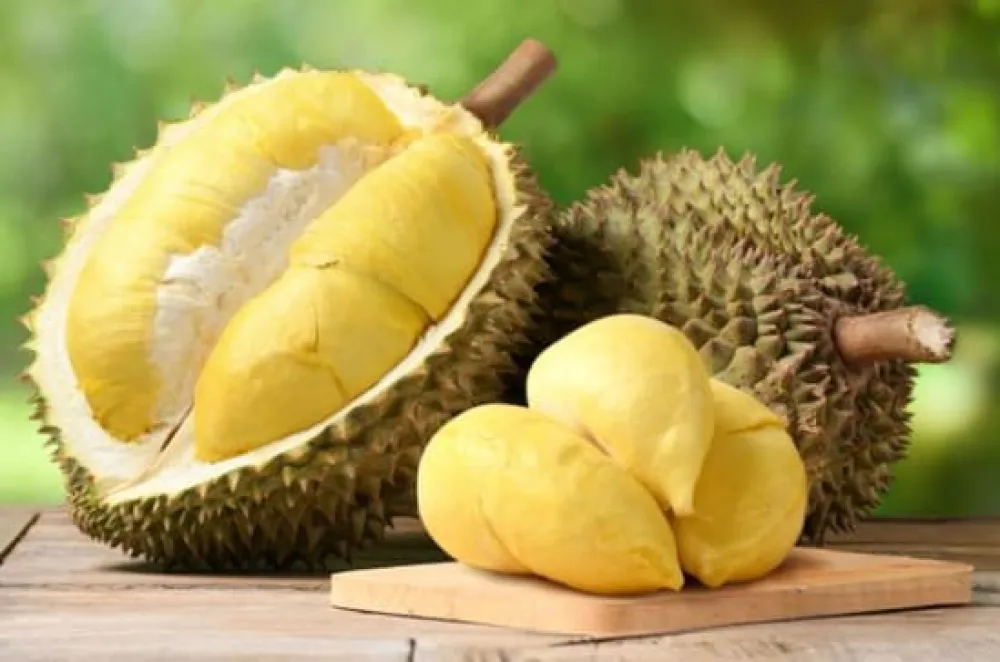 Cara Memilih Durian yang Manis dan Matang Sempurna