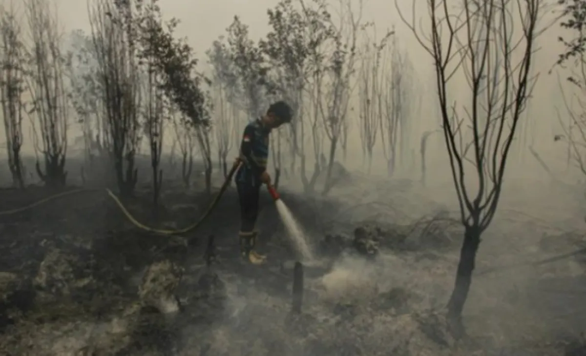 Asap Karhutla dari Kalimantan Suda Masuk Jakarta