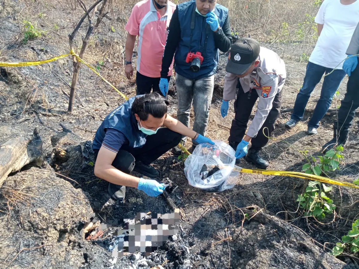 Misteri Kerangka Manusia di Hutan Tenggerejo, Ditemukan di Tengah Lahan Tebu Bekas Terbakar